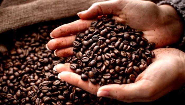 Coffee production in Nigeria gets boost as Cross River, JR Farms to plant 30m seedlings